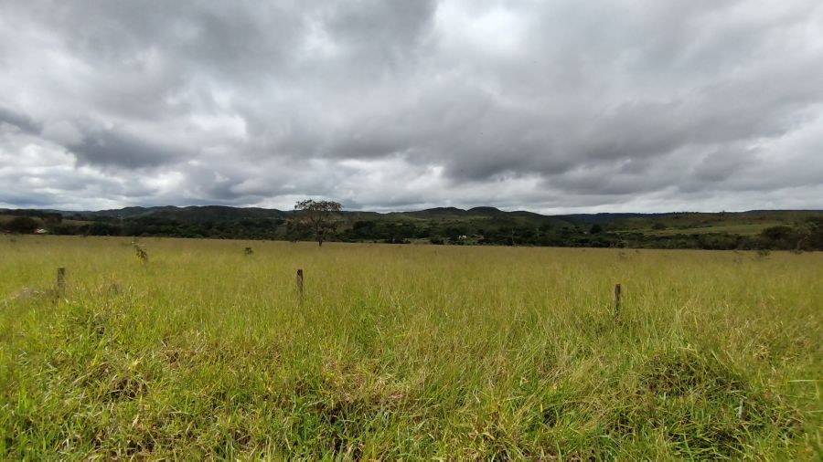 Chcara - Venda - Lago Sul - Braslia - DF
